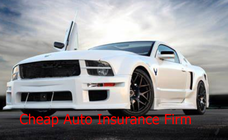 Cheap Auto Insurance Firm